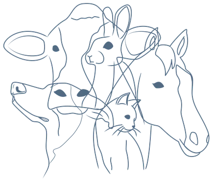 Yuko Thibaut, ostéopathe animalier