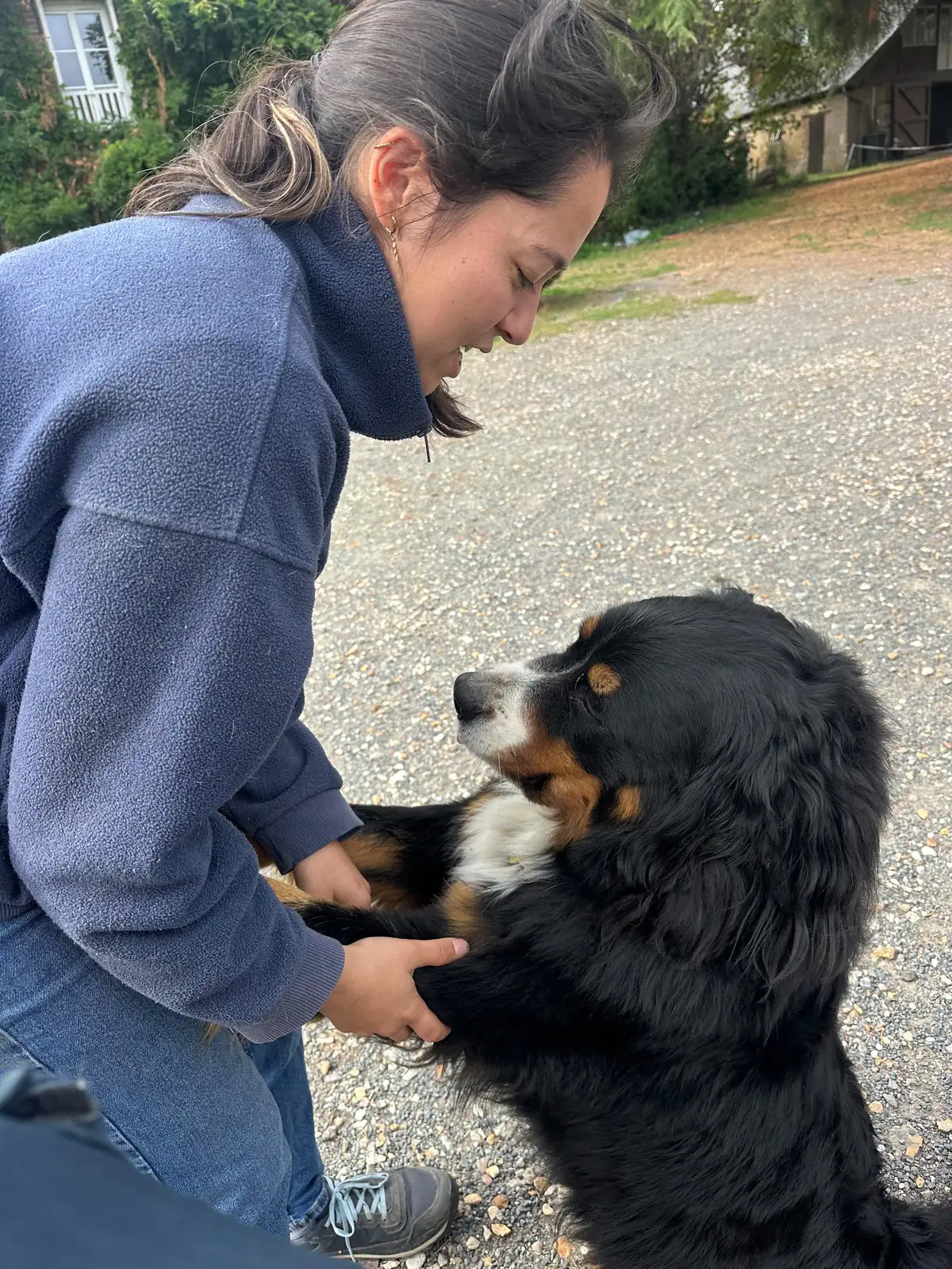 Yuko Thibaut avec un bouvier bernois lors d'une séance d'ostéopathie en Normandie