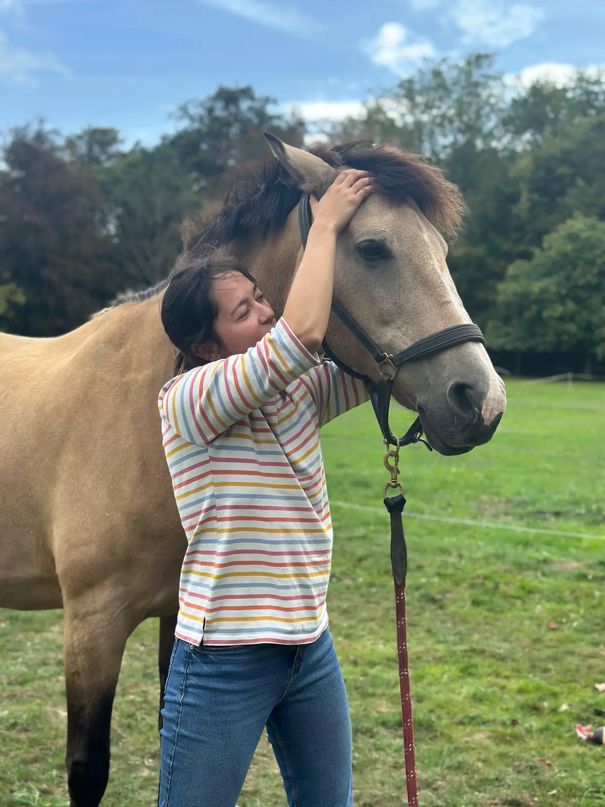 Travail ostéopathique sur la nuque d'un cheval